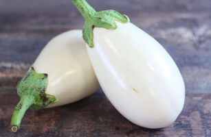 Aubergine petite blanche