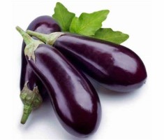 Aubergine violette