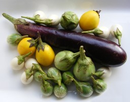 Aubergines