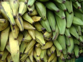 Banane plantain