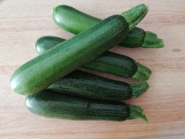 Courgette verte