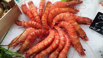 Grosses gambas