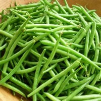 Haricot vert