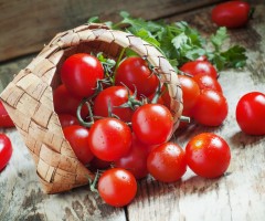 Tomates cerise