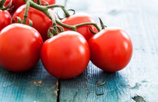 Tomates fraîches